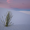 White Dunes